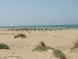 Marocco