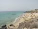 Canarie