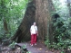 Malesia